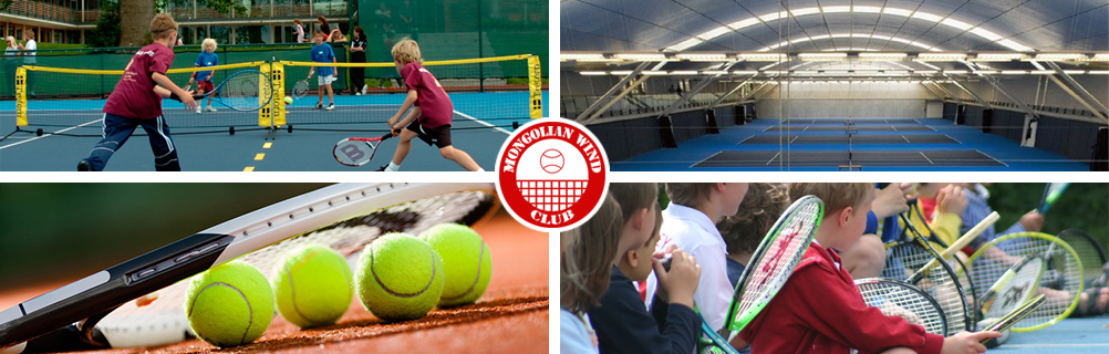 MS88����(�й���)M88����