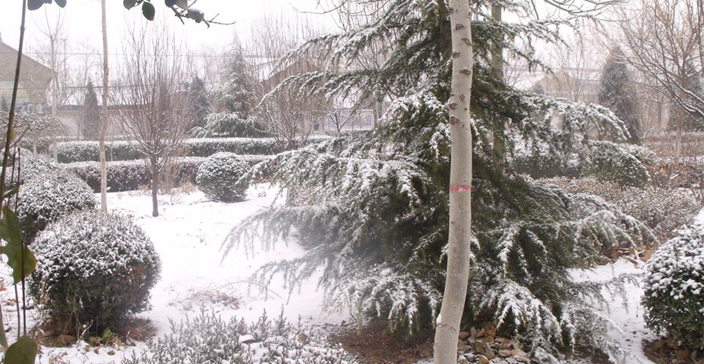 MS88����(�й���)M88����