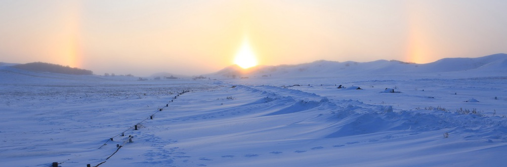 MS88����(�й���)M88����