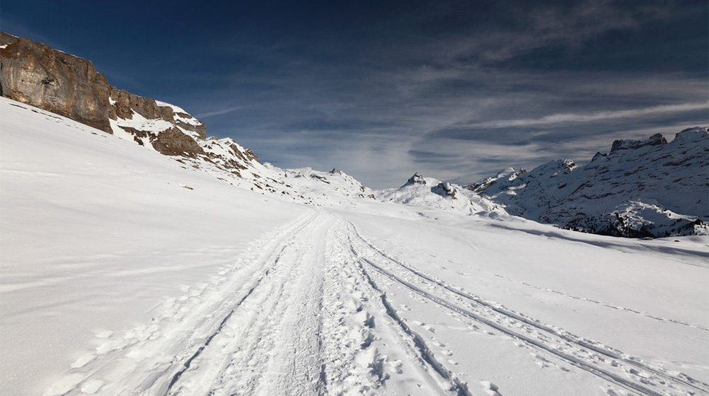 MS88����(�й���)M88����