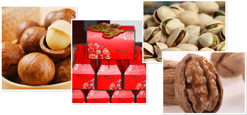 MS88����(�й���)M88����