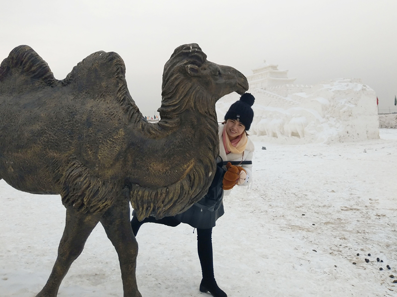 MS88����(�й���)M88����