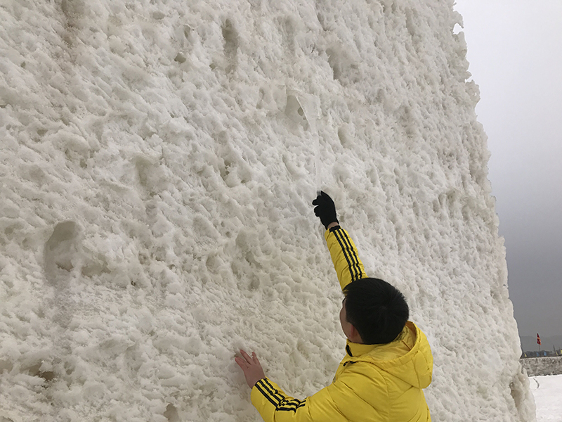 MS88����(�й���)M88����