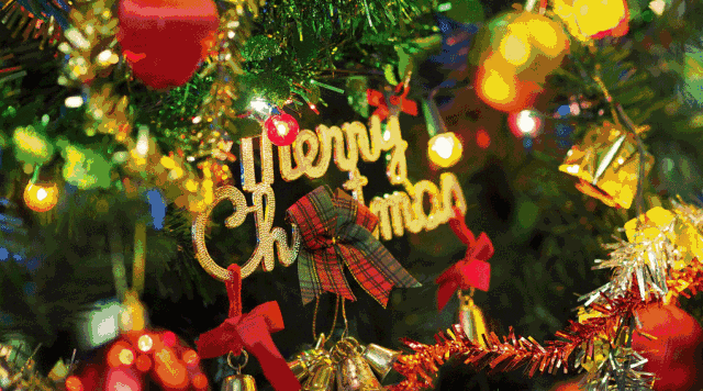 MS88����(�й���)M88����