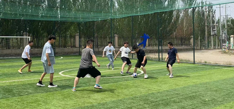 MS88����(�й���)M88����